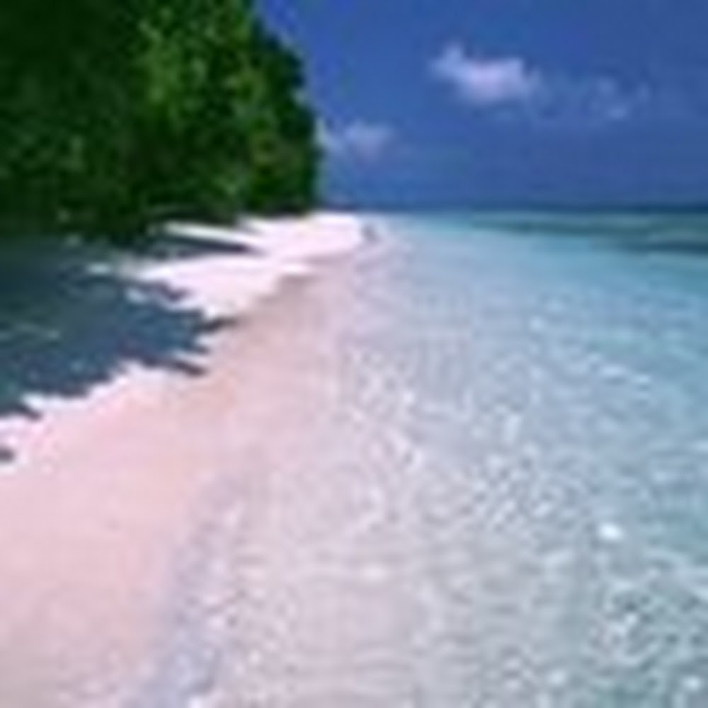 Meet your Posher, Naghmeh